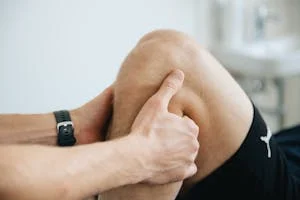 lose fat and maintain muscle